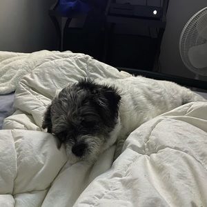 Meet your Posher, Kyle